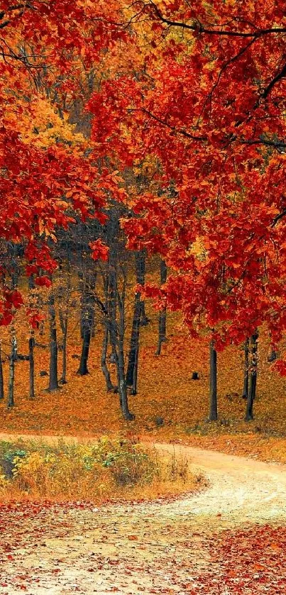 Autumn forest wallpaper with red leaves and a winding path.