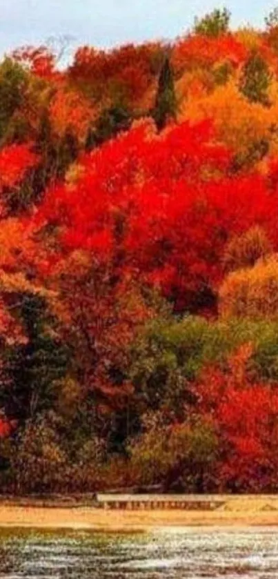 Vibrant autumn forest scene with lake.