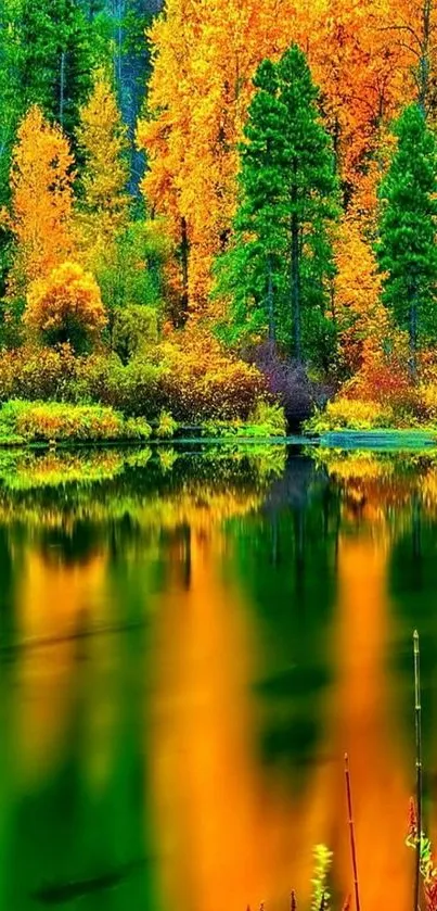 Vibrant autumn foliage reflected in a tranquil lake.