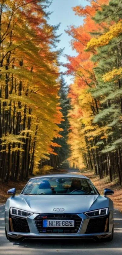 Car driving through a vibrant autumn forest with colorful leaves.
