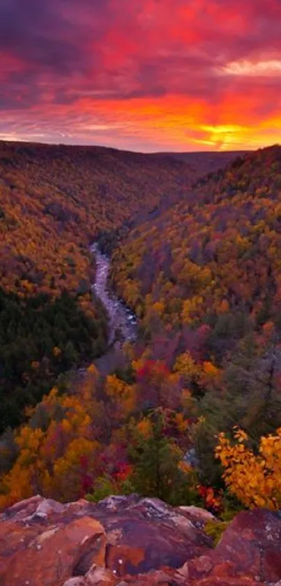 Majestic autumn valley at sunset with vibrant colors.