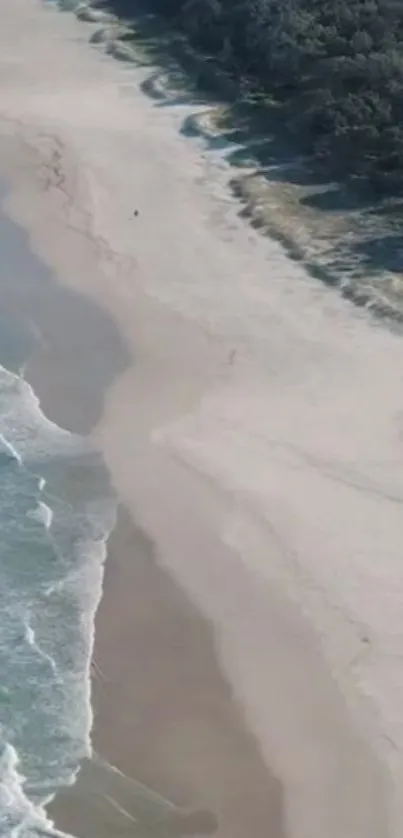 Aerial view of a tranquil beach with golden sand and gentle waves.