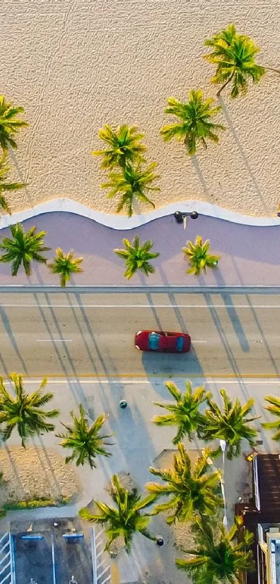 Aerial view of a beach with a curvy road and palm trees.