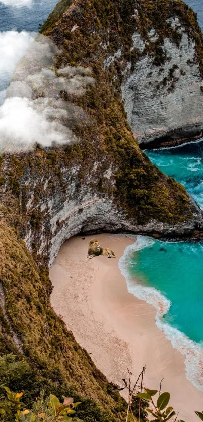 Aerial view of turquoise ocean and cliffs on a serene beach.