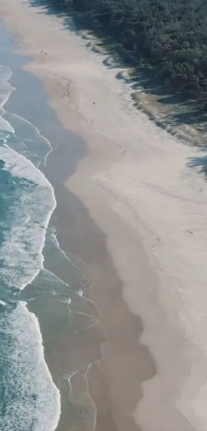 Aerial view of a beautiful sandy beach with waves crashing against the shore.