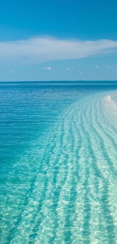 Stunning beach wallpaper with clear ocean and blue sky.