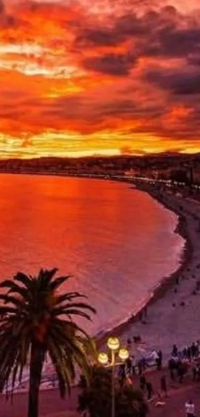 Vibrant beach sunset with orange red sky and palm tree silhouettes.