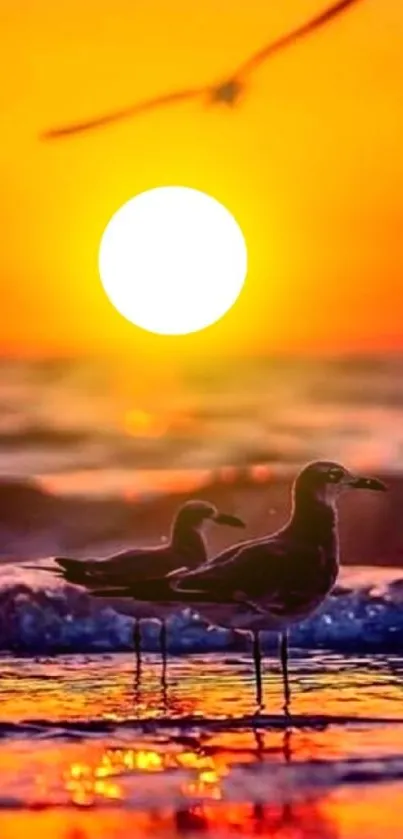 Silhouetted seagulls during vibrant sunset over the ocean waves.