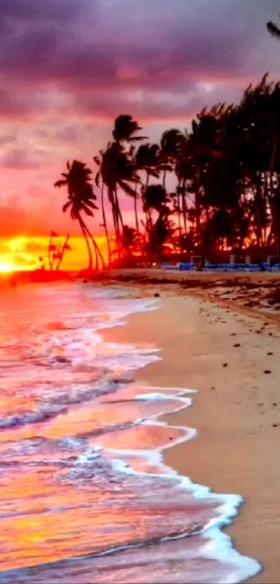 Beach at sunset with vibrant colors and palm trees.