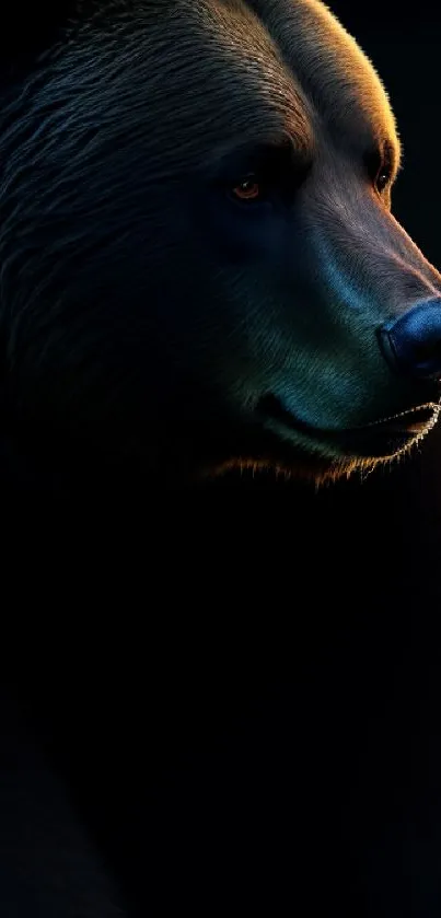 Majestic bear portrait in rich, dark tones for mobile wallpaper.