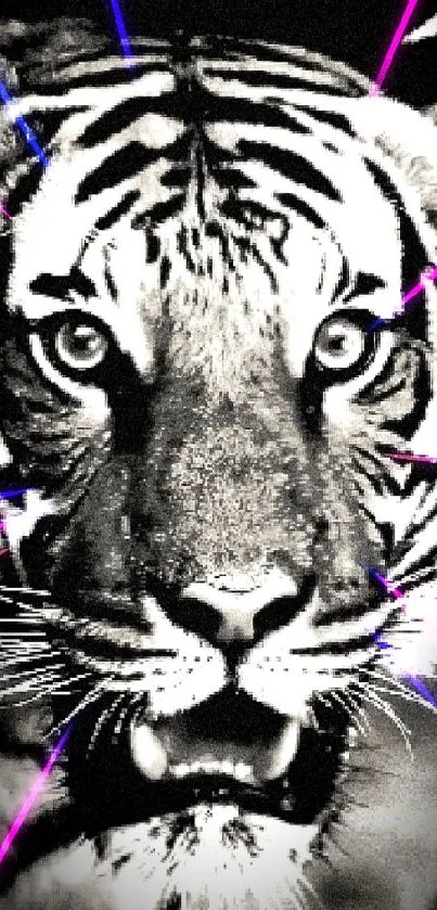 Black and white tiger close-up wallpaper.