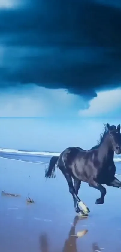 Majestic black horse galloping along the beach under a dramatic blue sky.