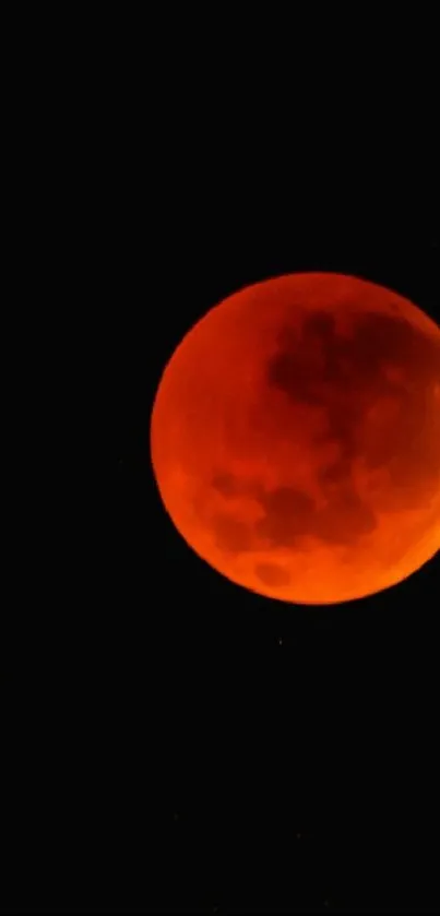 Blood moon against a black sky, captured in vivid detail.