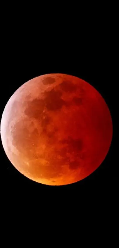 Vivid blood moon against a dark sky.