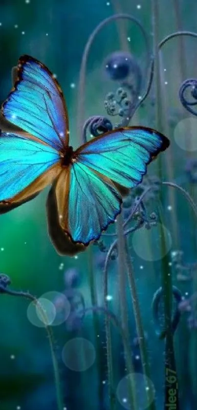 Bright blue butterfly in forest scene.