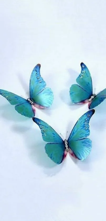 Blue butterflies flying elegantly on a soft white background.