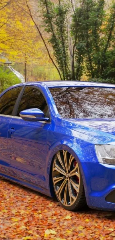 Blue car on autumn leaves in a forest setting, under trees with golden foliage.