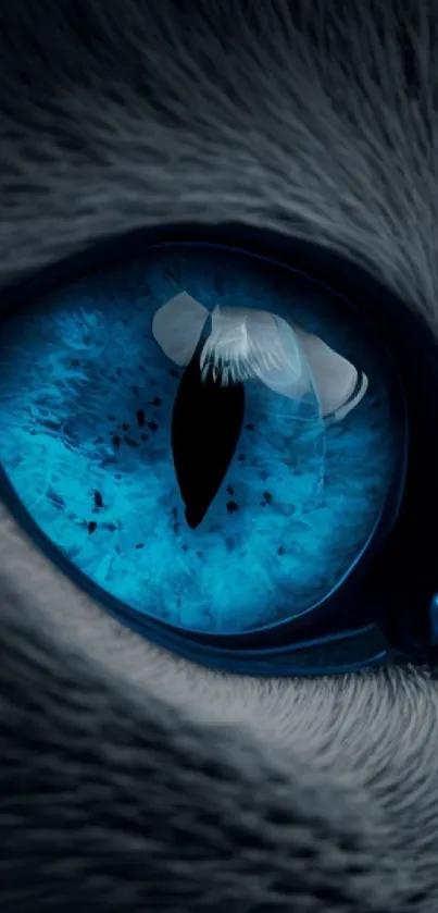 Close-up image of a blue cat eye with vivid details.