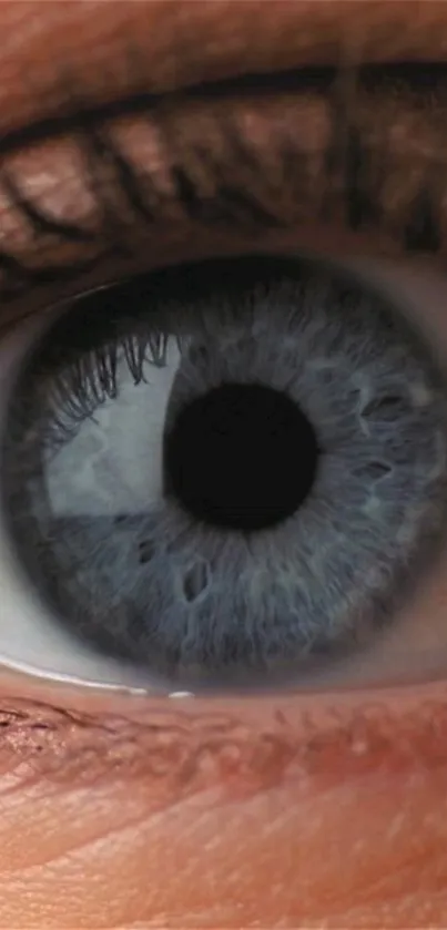 Captivating close-up of a blue eye with intricate iris details.