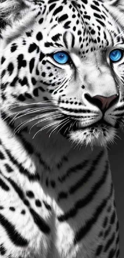 Leopard with blue eyes on a gradient background.