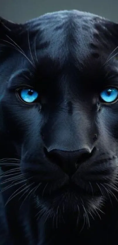 Black panther with striking blue eyes in a captivating portrait.