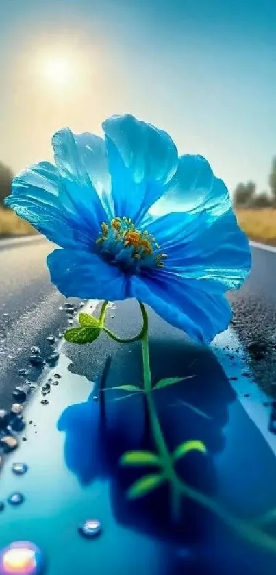 Blue flower on reflective road with bright sunlight background.