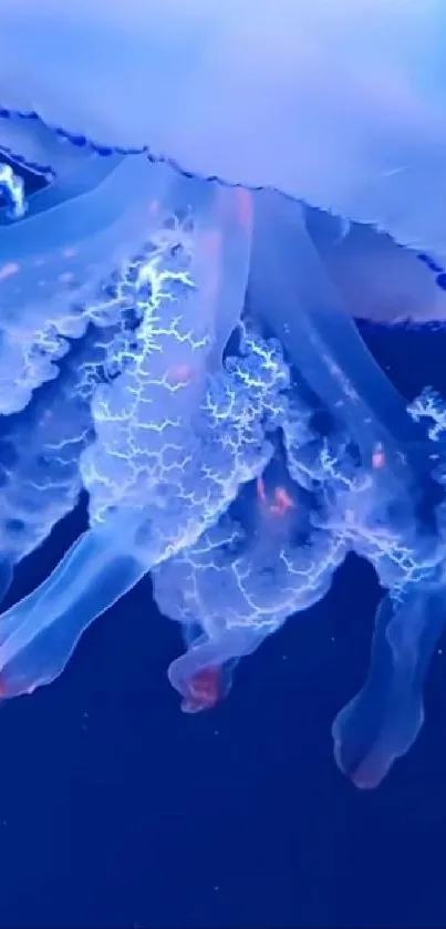 Vibrant blue jellyfish glowing underwater with intricate details.