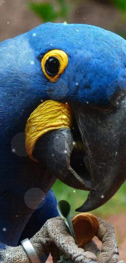 Blue parrot with vibrant feathers in natural setting.