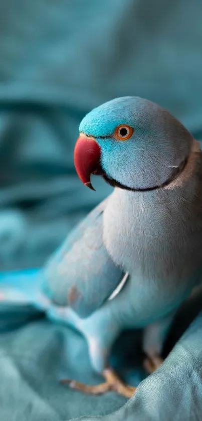 Vibrant blue parrot on a turquoise backdrop.