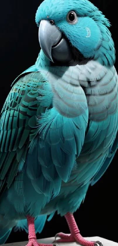 Detailed blue parrot with vibrant plumage against a dark background.