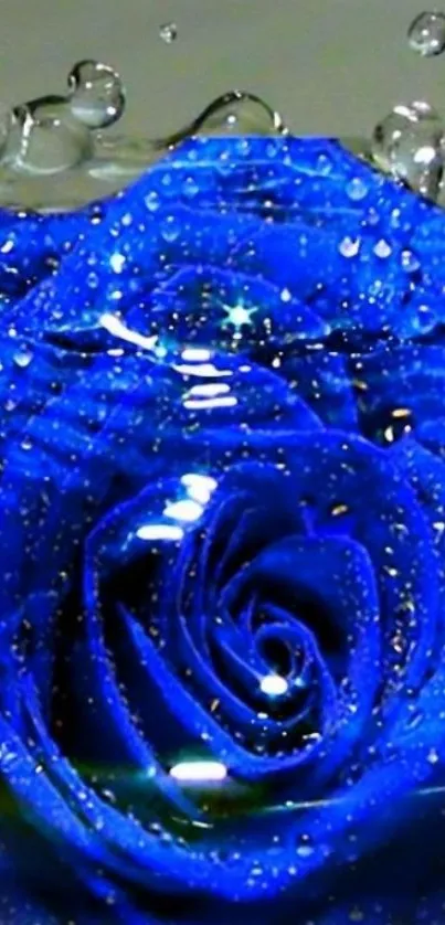 Blue rose with dewdrops on petals, creating an elegant wallpaper.