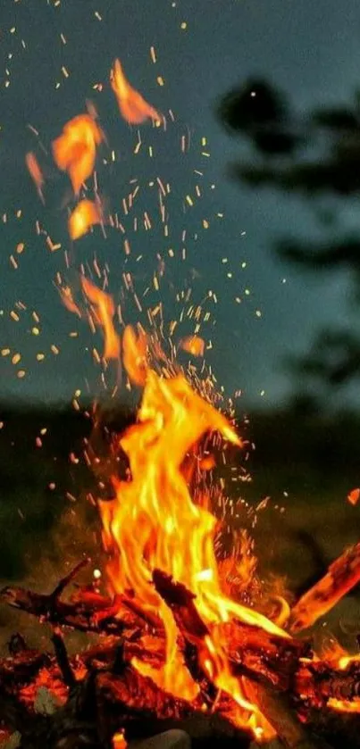 Glowing campfire sparks in the night wilderness.