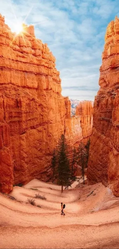 Stunning orange canyon with a bright blue sky.