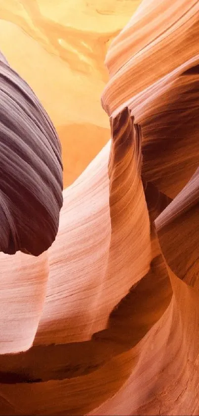 Stunning Antelope Canyon with warm hues and curved, textured rock formations.