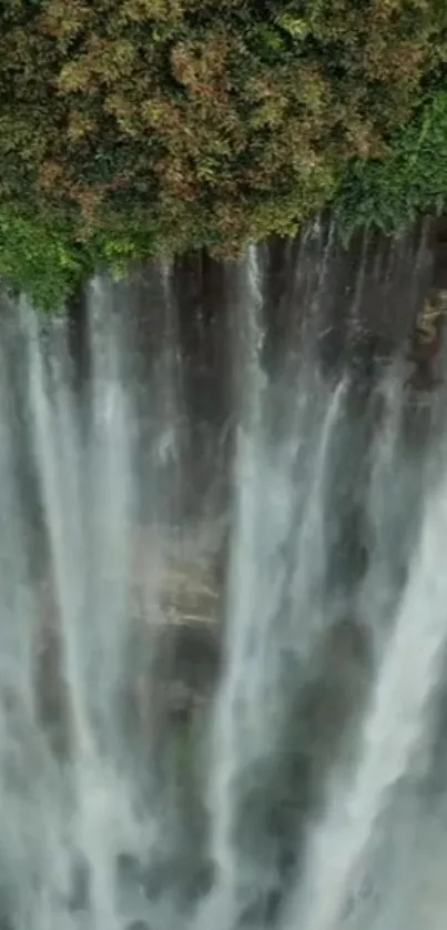 Cascading waterfall with lush greenery background.