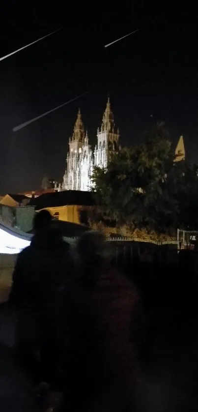 Night view of illuminated cathedral against dark sky.