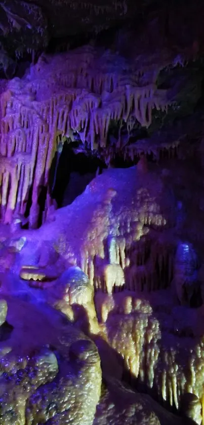 Illuminated cave stalactites with purple and gold hues.