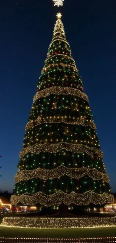 Beautiful Christmas tree lit with festive lights against a dark night sky.