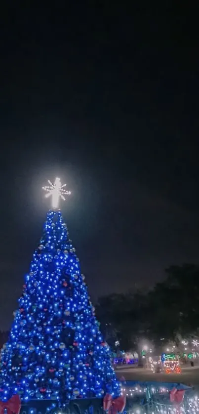 Illuminated Christmas tree at night with vibrant blue lights and a star topper.