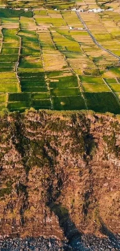 Cliffside fields above ocean with rich green landscape.