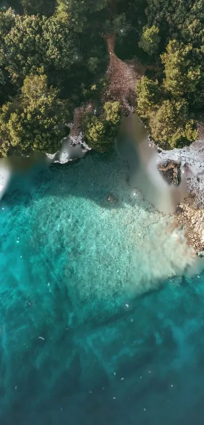 Aerial view of a turquoise coastline with lush green forests.