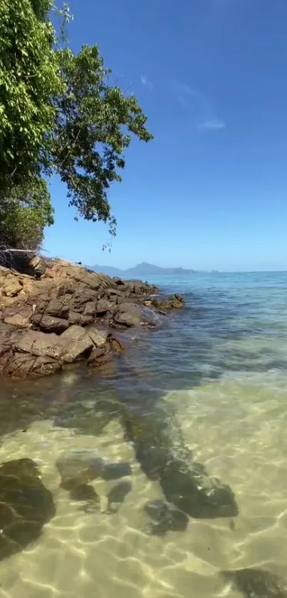 Serene tropical beach with clear blue sky and lush greenery.