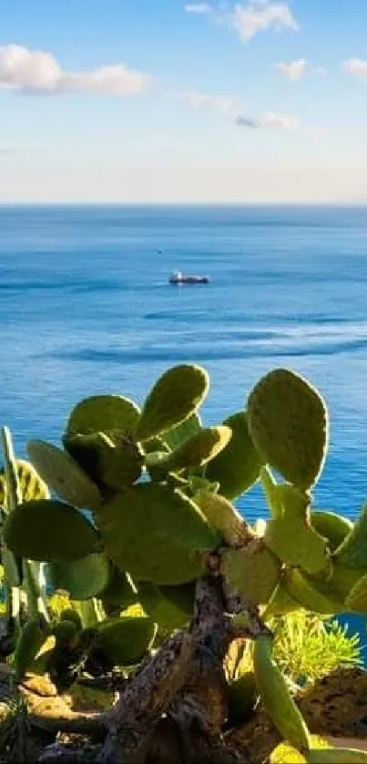 Scenic beach view with azure ocean, sandy shores, and lush greenery.