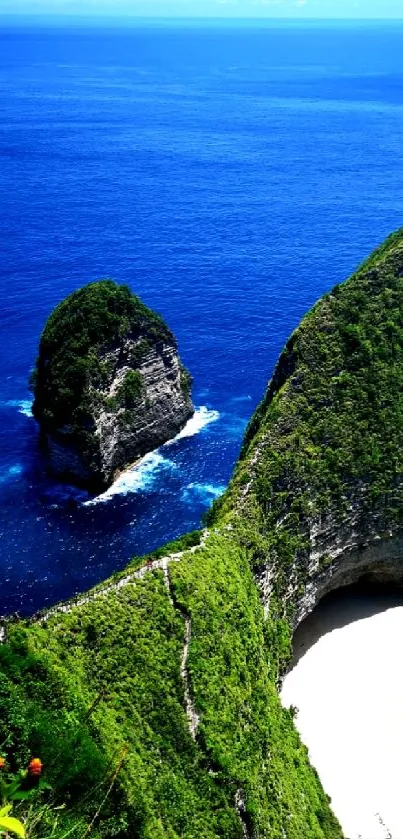 Coastal cliff with blue ocean and lush greenery wallpaper.