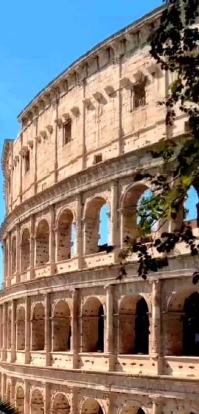 Colosseum in Rome under a clear blue sky.