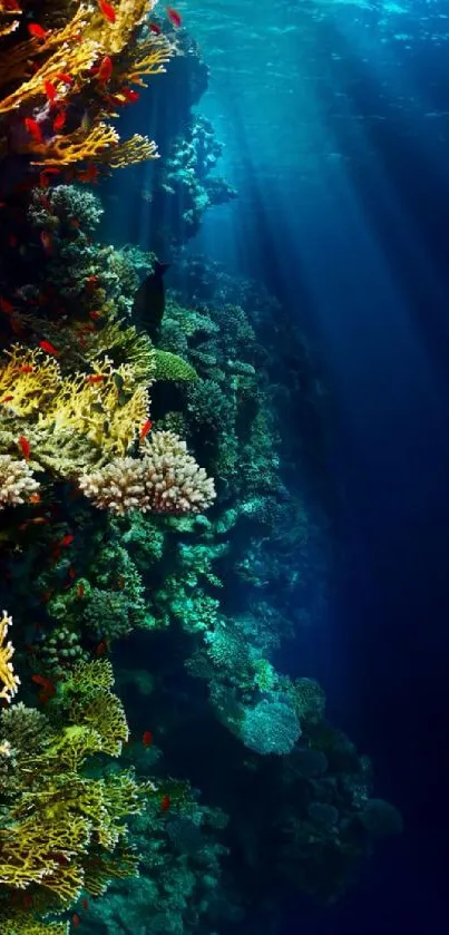 Vibrant underwater coral reef with marine life and ocean blue depths.