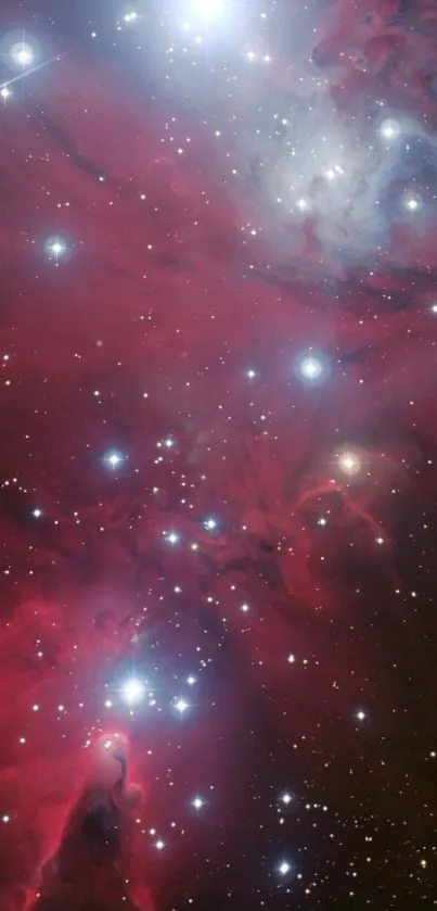 Vibrant red nebula with stars in space, ideal for mobile wallpaper.