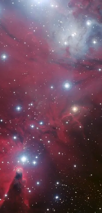 A vibrant crimson nebula with stars.