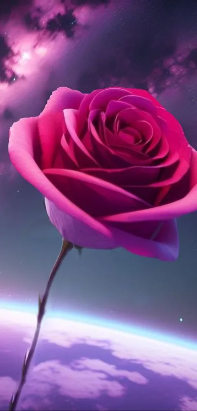 Pink rose with cosmic galaxy background in space.