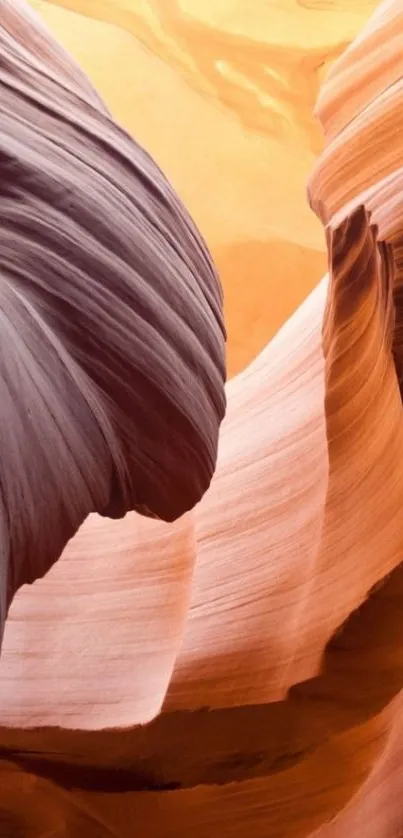 Sunlit canyon rock formations mobile wallpaper in warm hues.